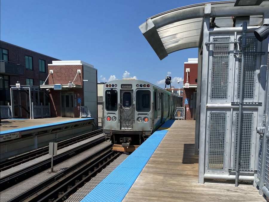 Paulina Brown Line