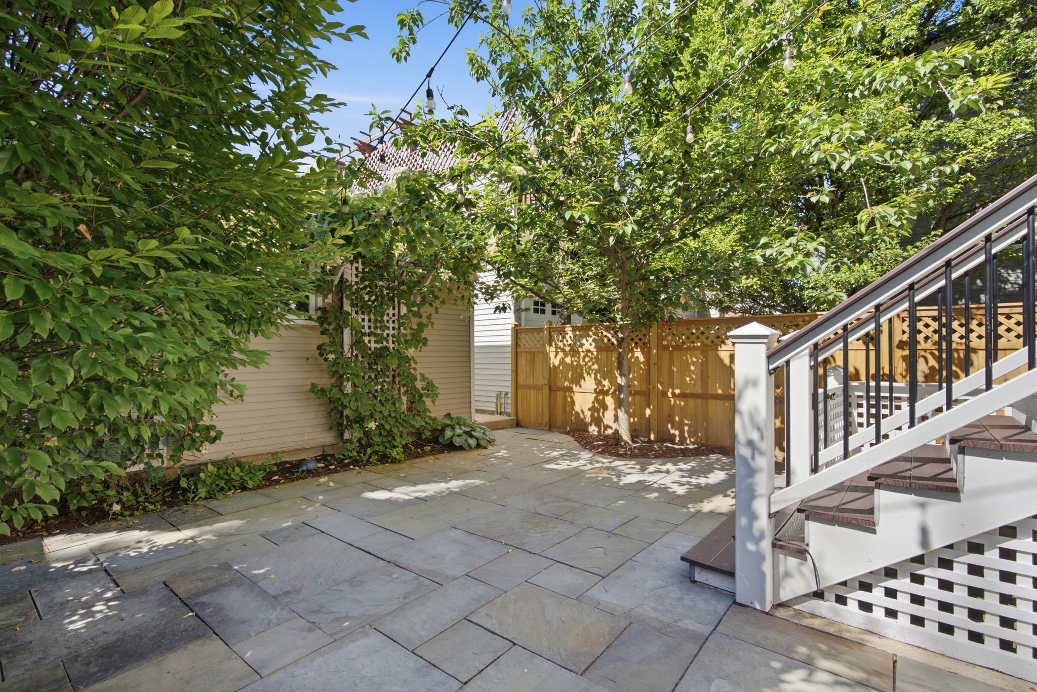 Bluestone patio and yard